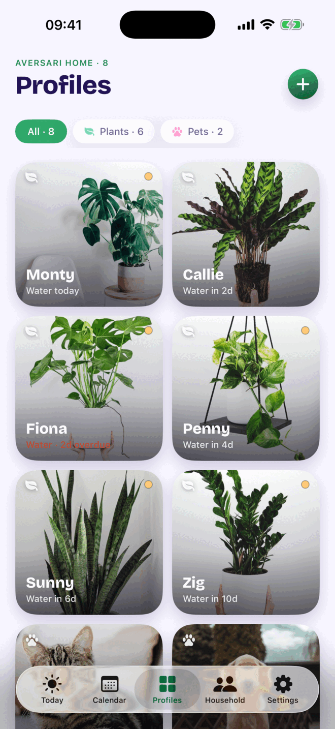 The Kounts Care profiles grid showing eight named profiles, six plants and two pets, each card a photo with the next watering due