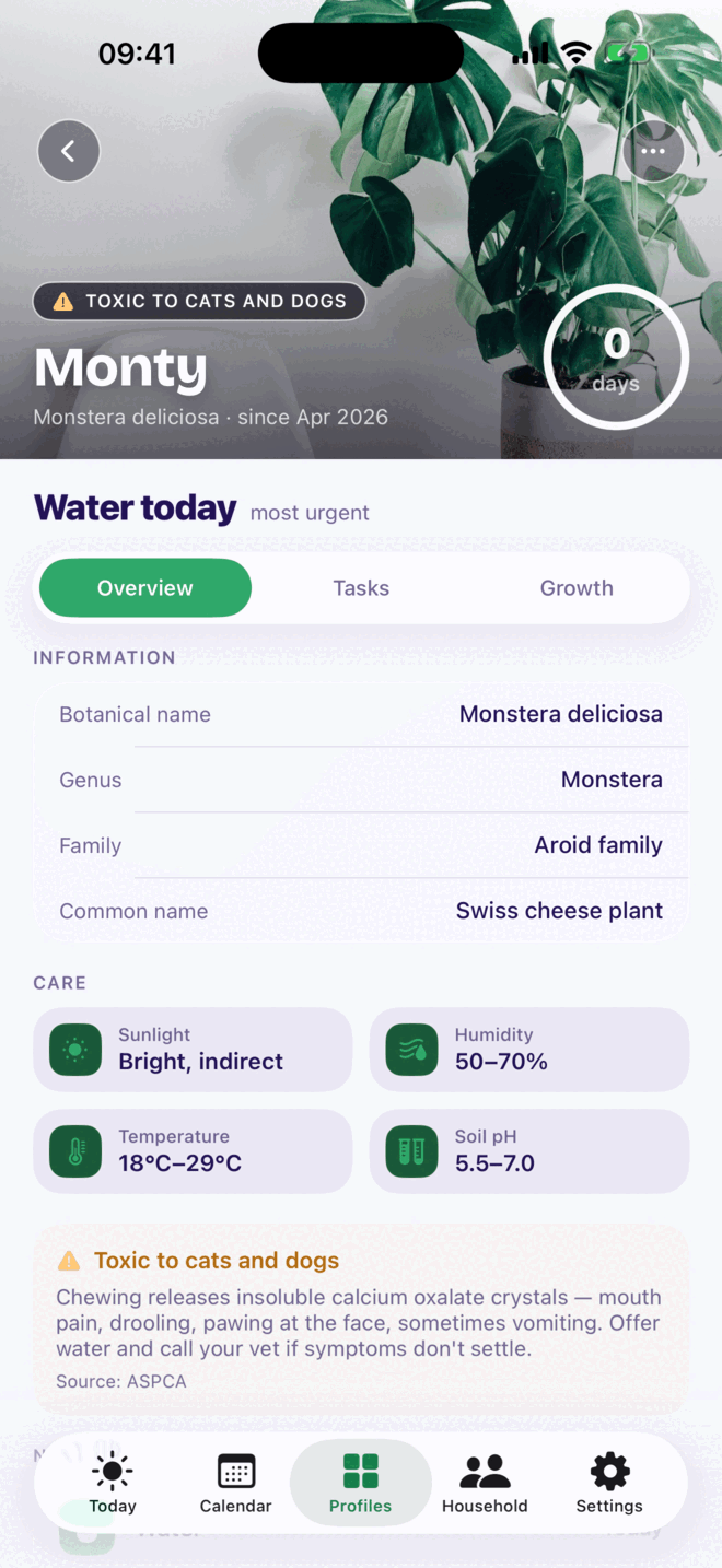 A Monstera deliciosa profile in Kounts Care headed toxic to cats and dogs, with its light, humidity, temperature and soil needs and an ASPCA sourced explanation of the reaction