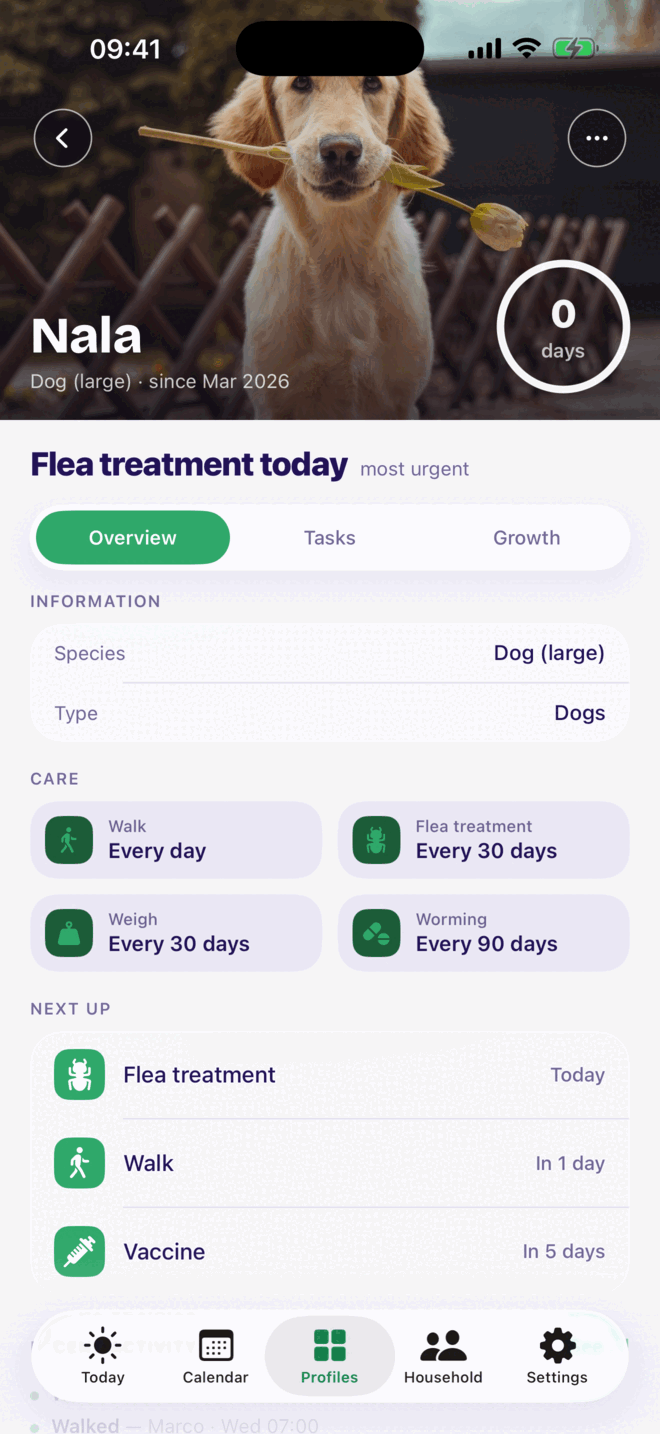 A dog profile in Kounts Care showing daily walks, flea treatment every thirty days, weigh-ins and worming, with the next three tasks listed